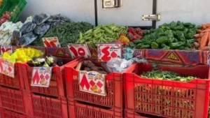 أسعار الخضراوات في مطروح اليوم السبت 13-12-2025: البسلة ترتفع إلى 25 جنيهاً